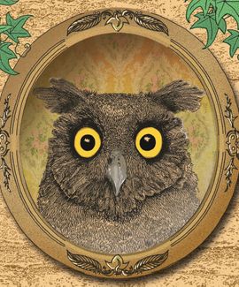 Owl album cover illustrator sally barnett 'Get Your Head Straight'